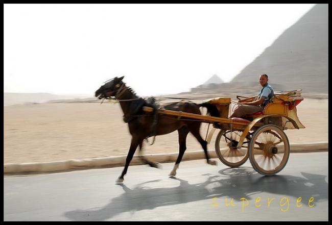 Egypt_021.jpg