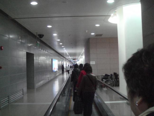 DSC08219_resize.JPG