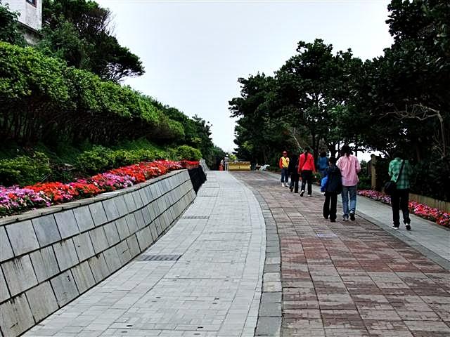 DSCF1244 (Small).JPG