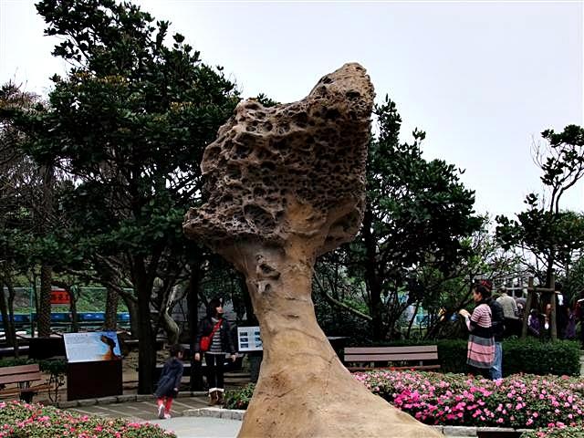 DSCF1250 (Small).JPG