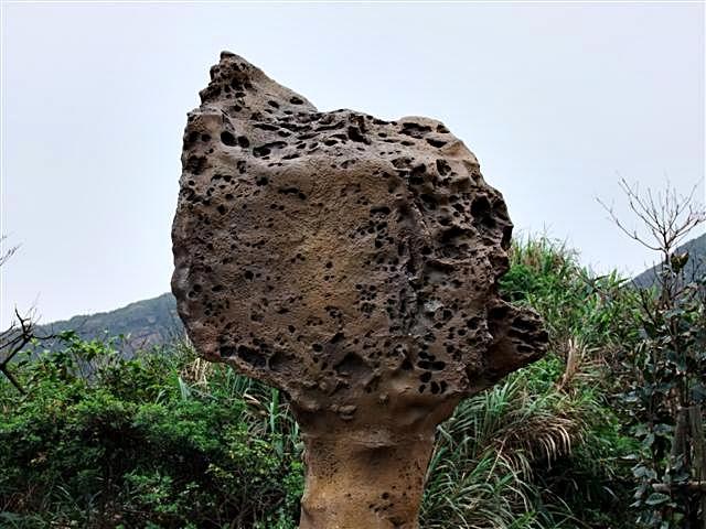 DSCF1251 (Small).JPG