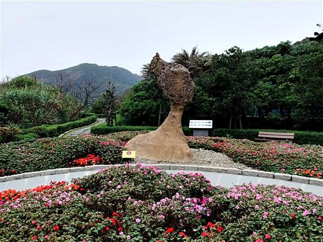 DSCF1253 (Small).JPG