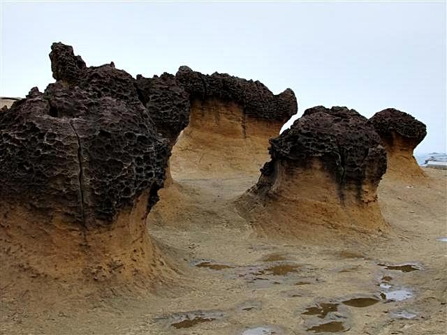 DSCF1259 (Small).JPG