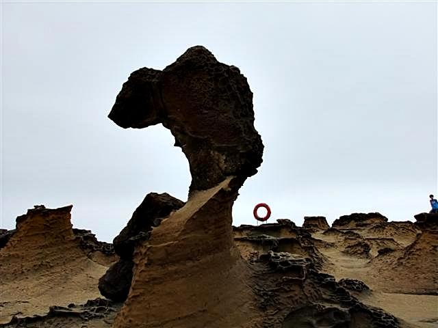 DSCF1261 (Small).JPG