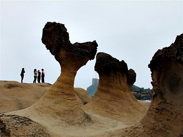 DSCF1263 (Small).JPG