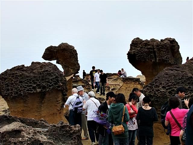 DSCF1281 (Small).JPG
