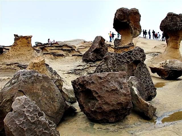 DSCF1279 (Small).JPG