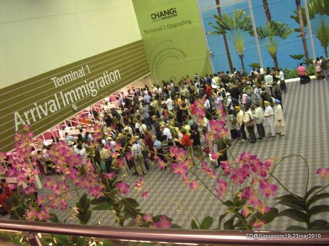 CIMG3262.JPG
