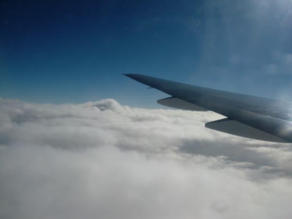 CIMG3308_resize.JPG