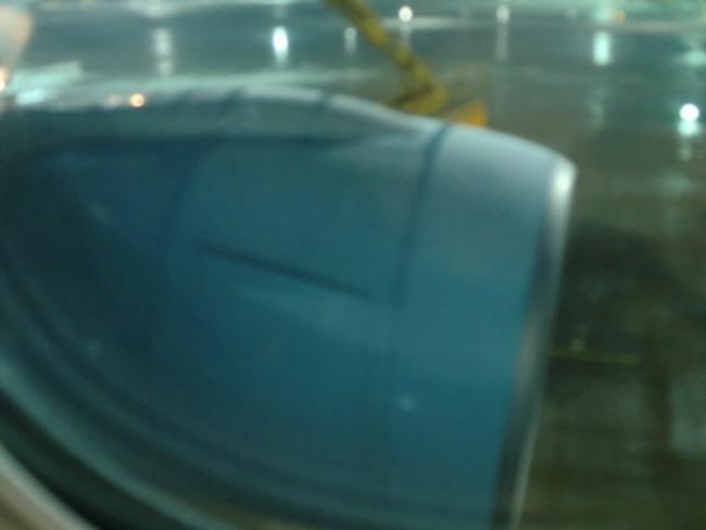 CIMG2940_resize.JPG