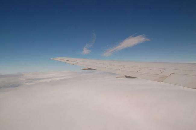 DSC_3413.jpg