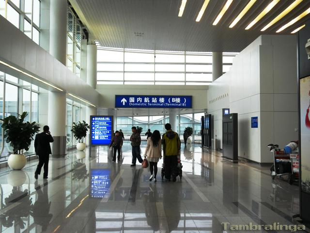 SDC14219.jpg