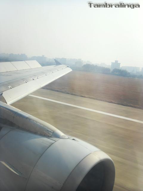 SDC13883.jpg
