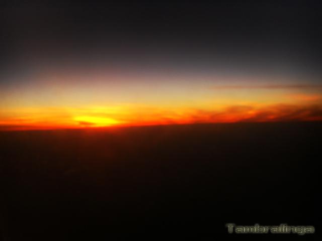 SDC13844.jpg