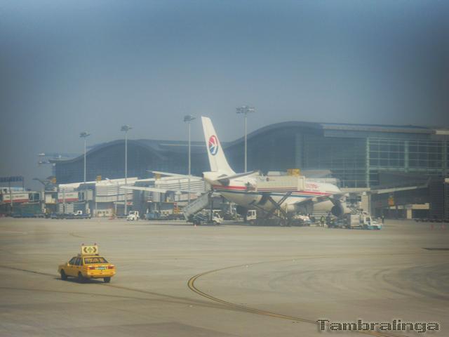 SDC13885.jpg