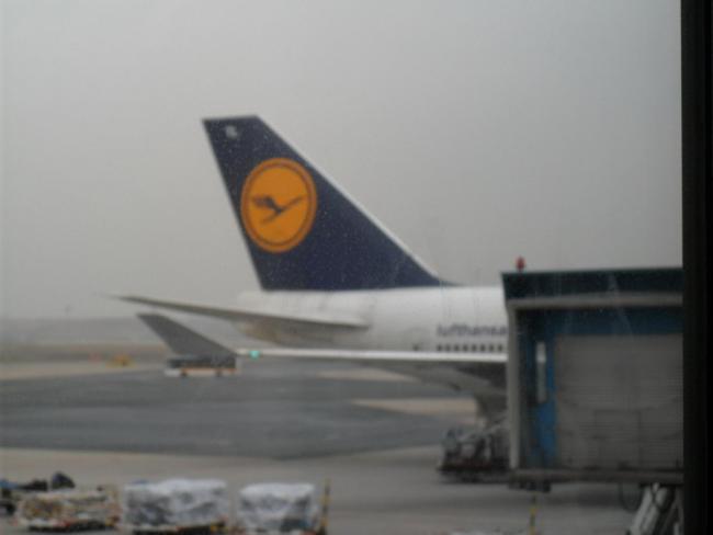 2011_0228LEKY0013.JPG