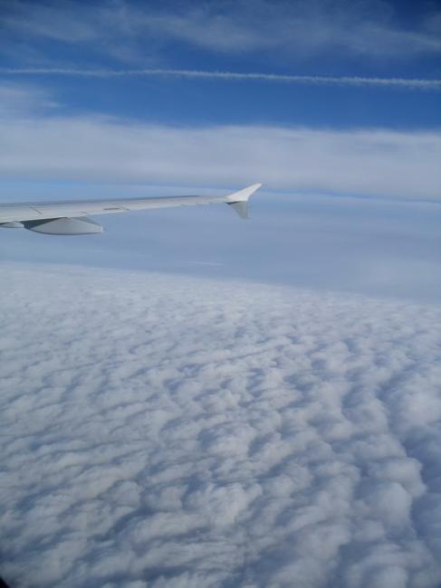 2011_0228LEKY0031.jpg