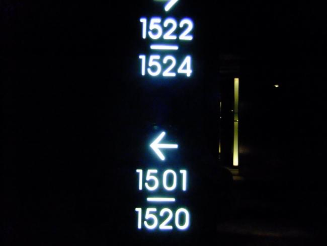 335_resize.JPG