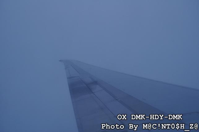 DSC_0082_resize.jpg
