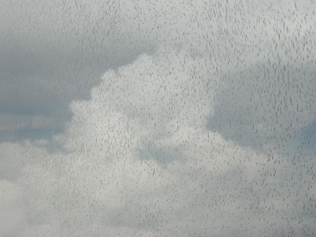 100_4542_resize.JPG