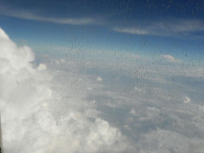 100_4563_resize.JPG