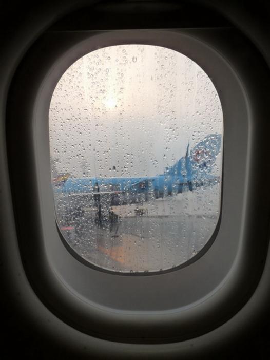 117.JPG