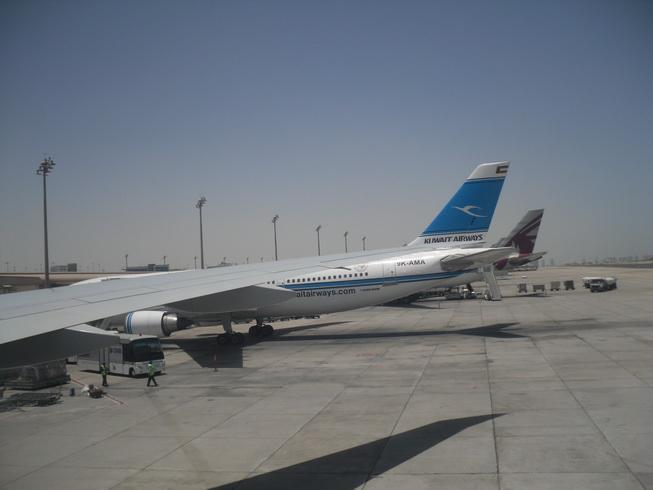 SDC16010_resize.JPG