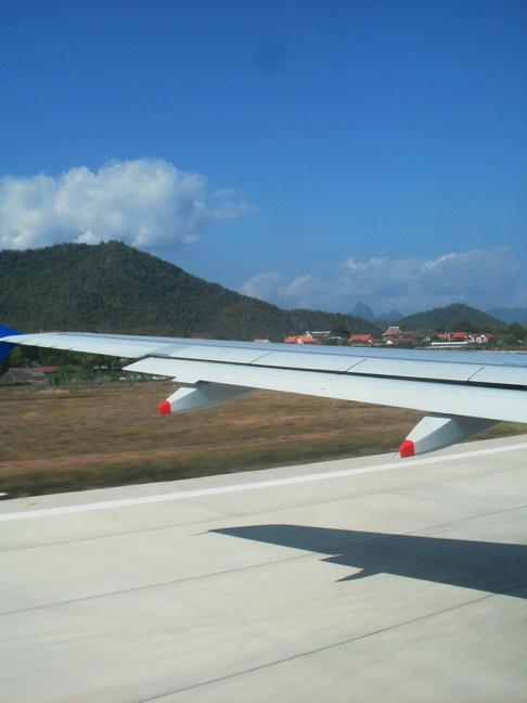 SDC10317.jpg