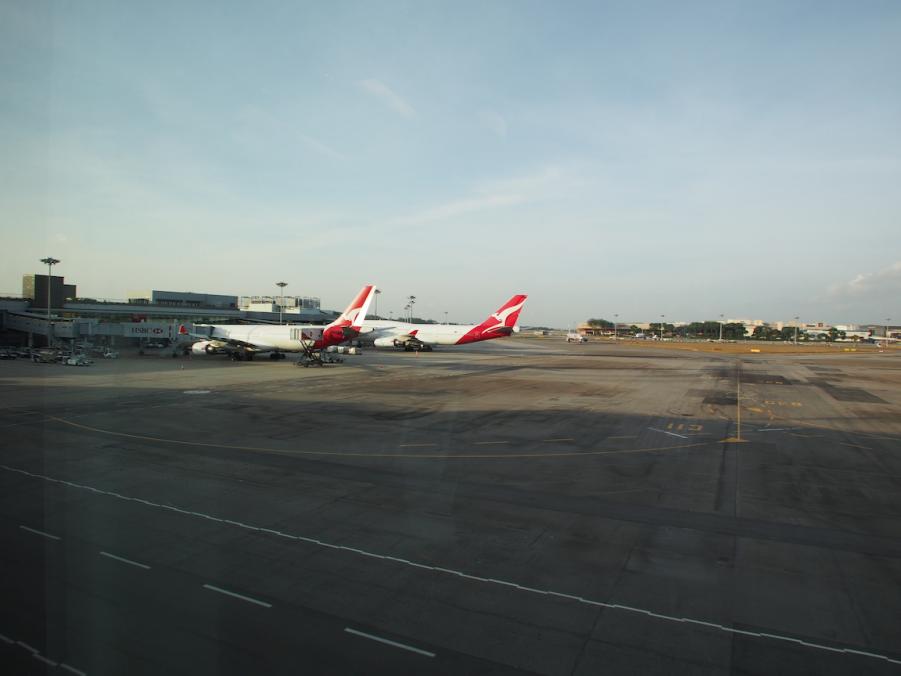 P2221849.JPG