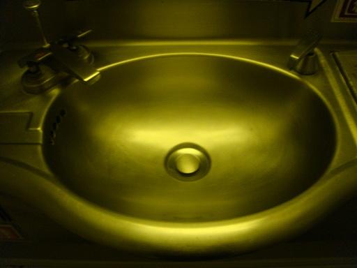 DSC04503.jpg