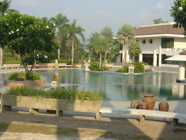 827.jpg