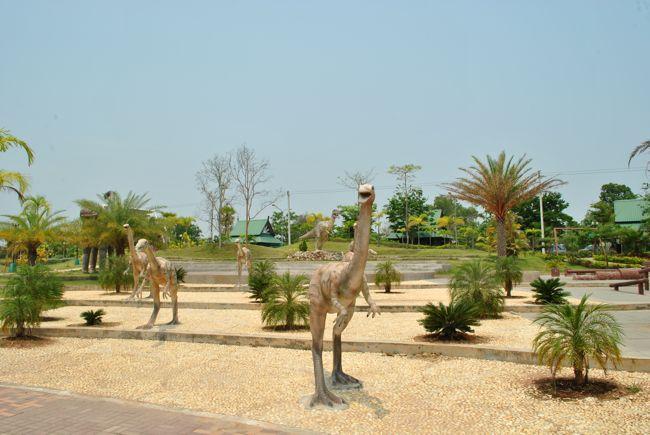 DSC_2802.jpg