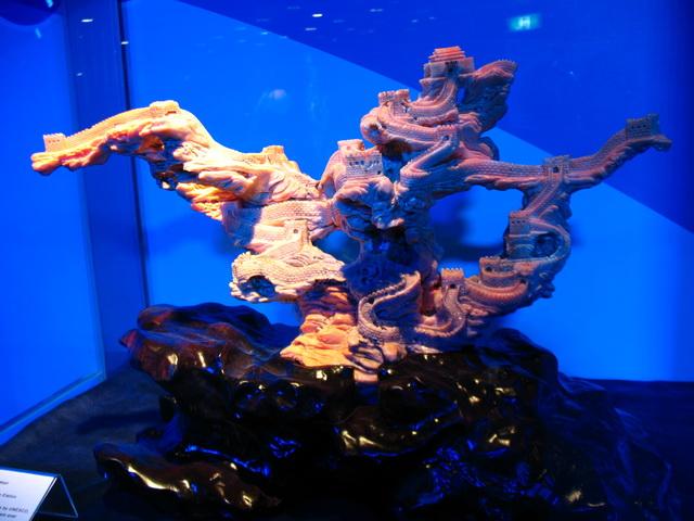 IMG_6013.JPG