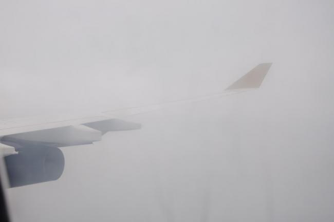 DSC_2547.jpg