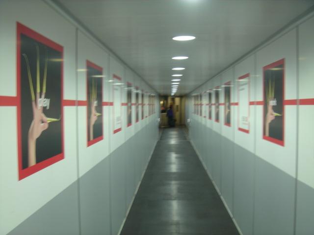 DSC00303.JPG