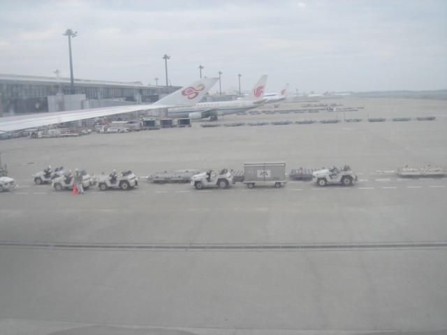 DSC00356.jpg
