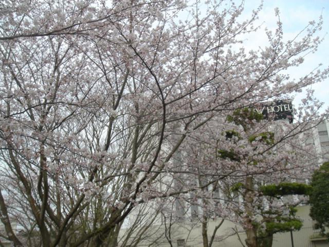 DSC00384.JPG