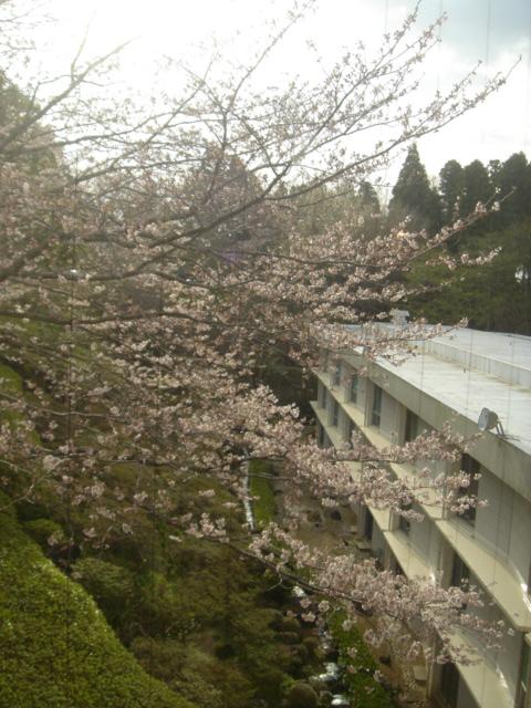 DSC00387.JPG