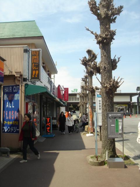 DSC00412.JPG