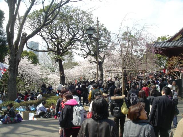 DSC00433.JPG