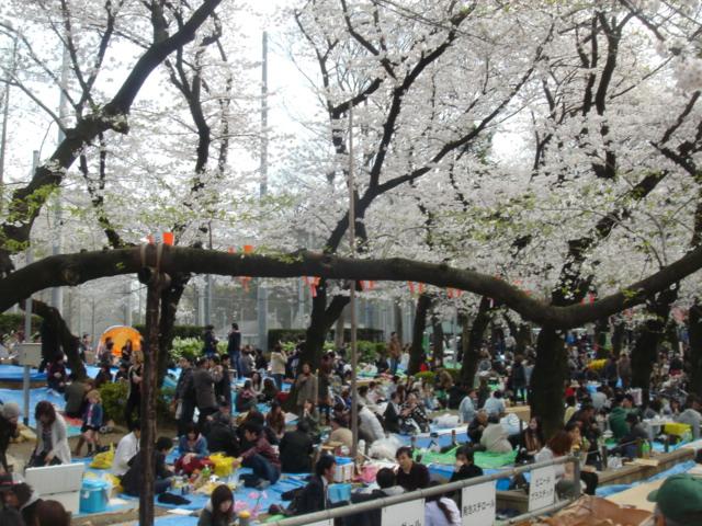 DSC00468.JPG