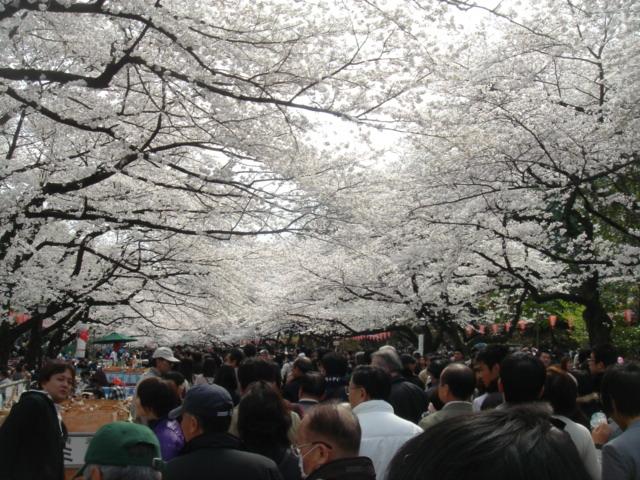 DSC00470.JPG