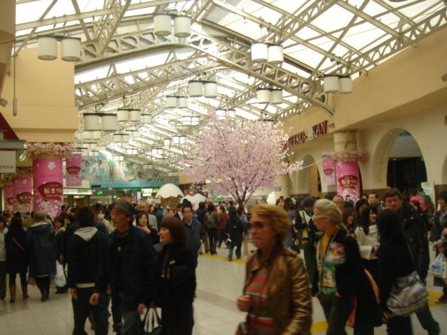 DSC00474.JPG