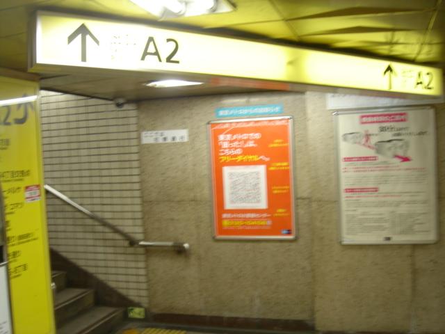 DSC00484.JPG