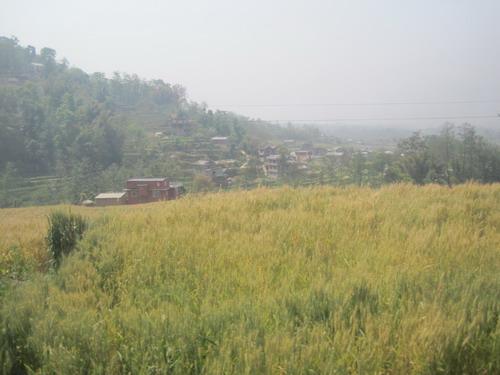 55.jpg