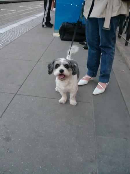 CIMG3764_resize.jpg
