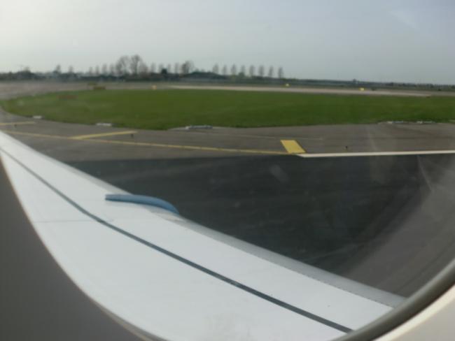 CIMG3620_resize.JPG