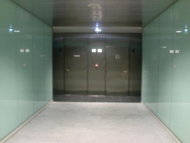 CIMG3841_resize.JPG