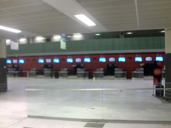 CIMG3803_resize.JPG