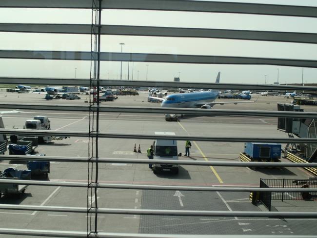 CIMG3569_resize.JPG